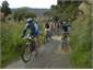 The 42 Traverse - great Mountain Biking