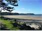 Orewa Beach