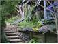 Another aspect of the garden.