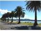 Buffalo Beach