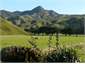 View of Pehimatea Peak on the farm