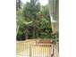 Deck surrounded by native bush