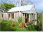 Your neighbours (no roosters allowed!)