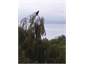Tui from deck