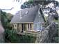 The Boathouse through the pohutakawas