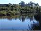 Many great walks in Milnthorpe Reserve