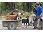Dan and his best mates on a Farm/History tour