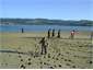 Beautiful Blueskin Bay