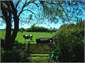view to home paddock