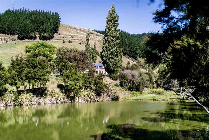 View across the pond