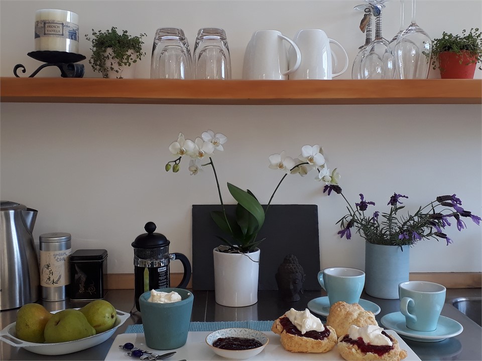 ultra modern kitchen