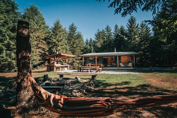 Secluded Forest Setting