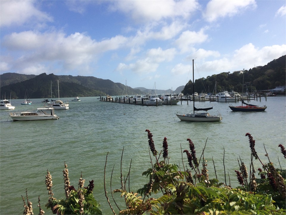 Whangaroa Harbour