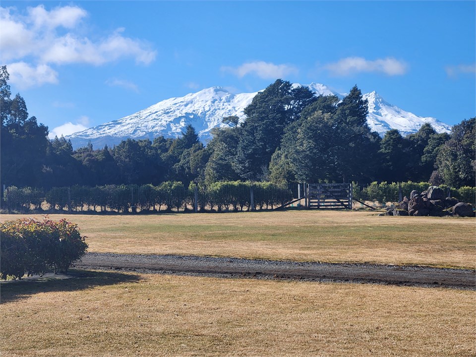 Mountain view from the deck