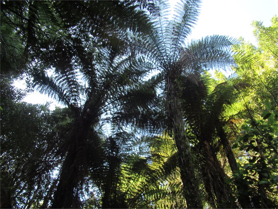 natural surroundings