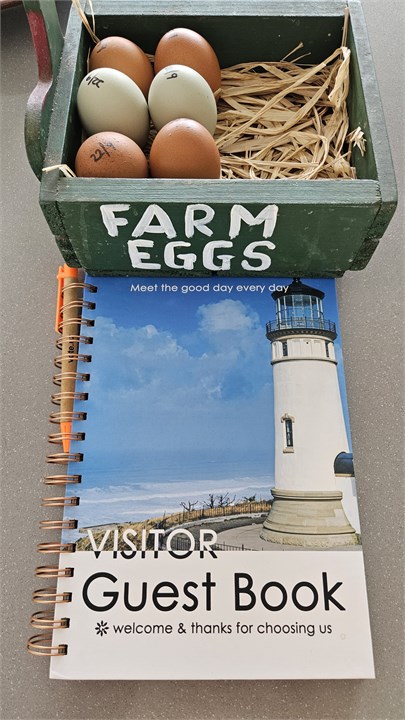 Guest book & fresh eggs from free range chickens