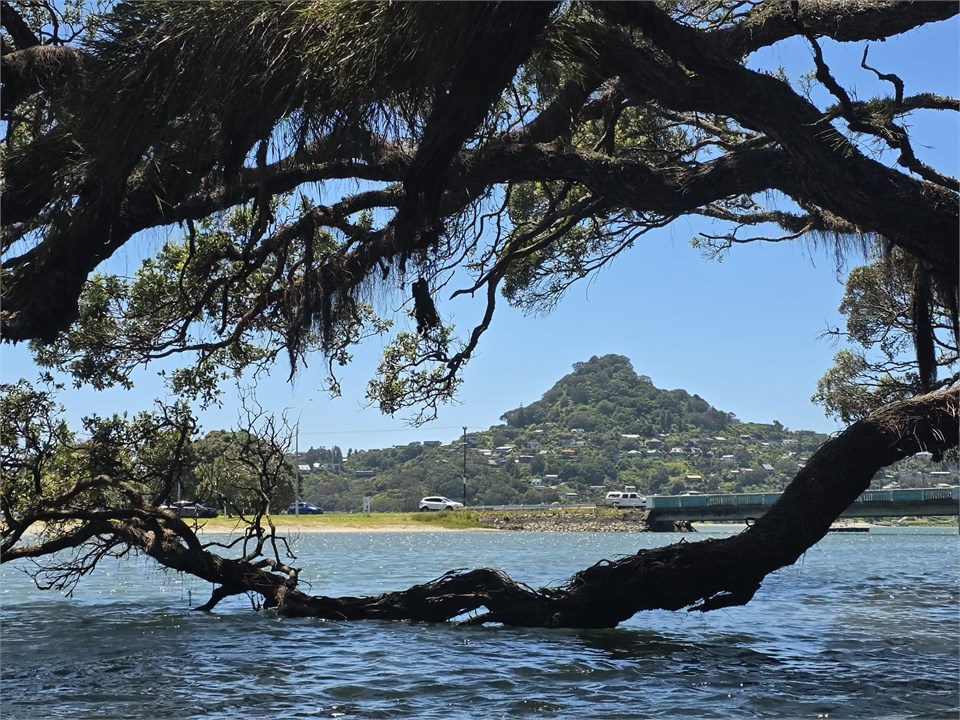 Estuary photo taken 300m from the house
