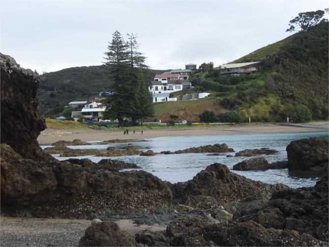 Looking back at the house (left of the tree)