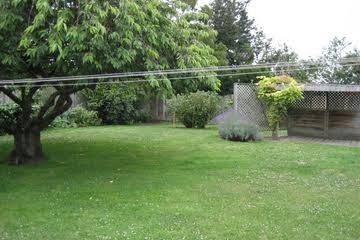 Large well fenced backyard