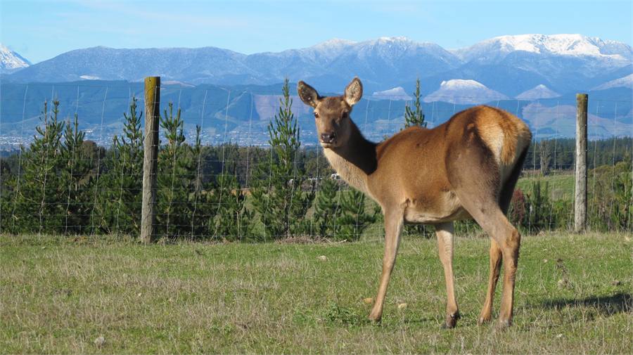 ...on a sunny winter day