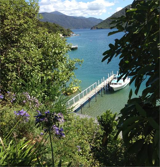 Jetty from edge of front lawn