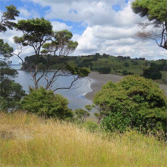 Te Muri beach Mahurangi Regional Park