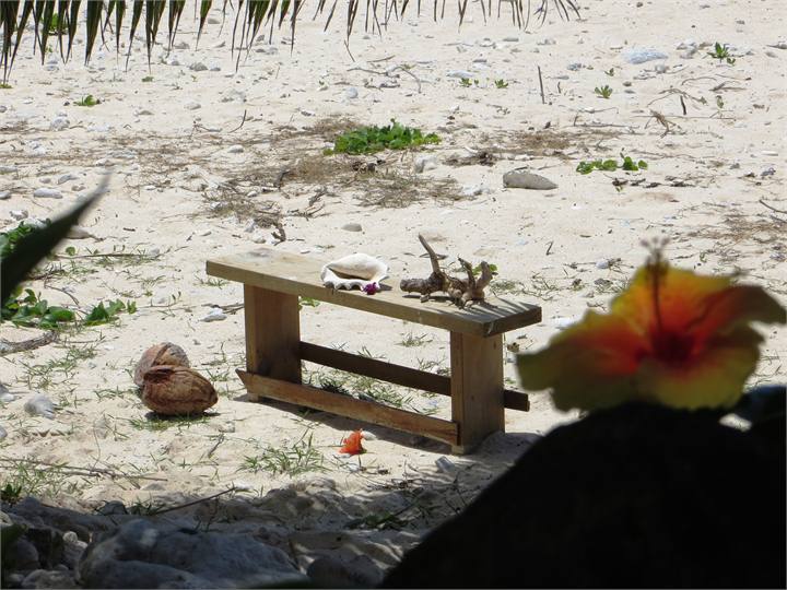 Beach scene at Heron's Reef