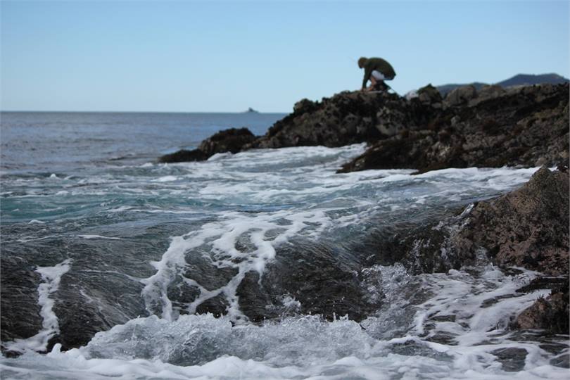Rugged coastline for fishing & swimming