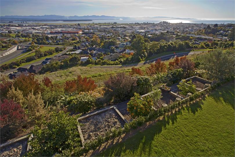 Elevated view of lawn & view