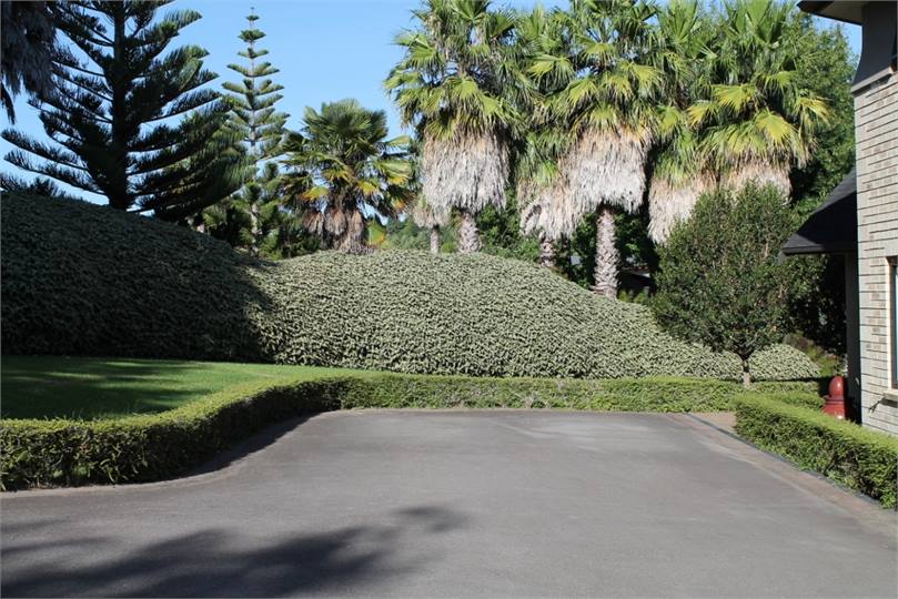 Parking and Front Entry Access