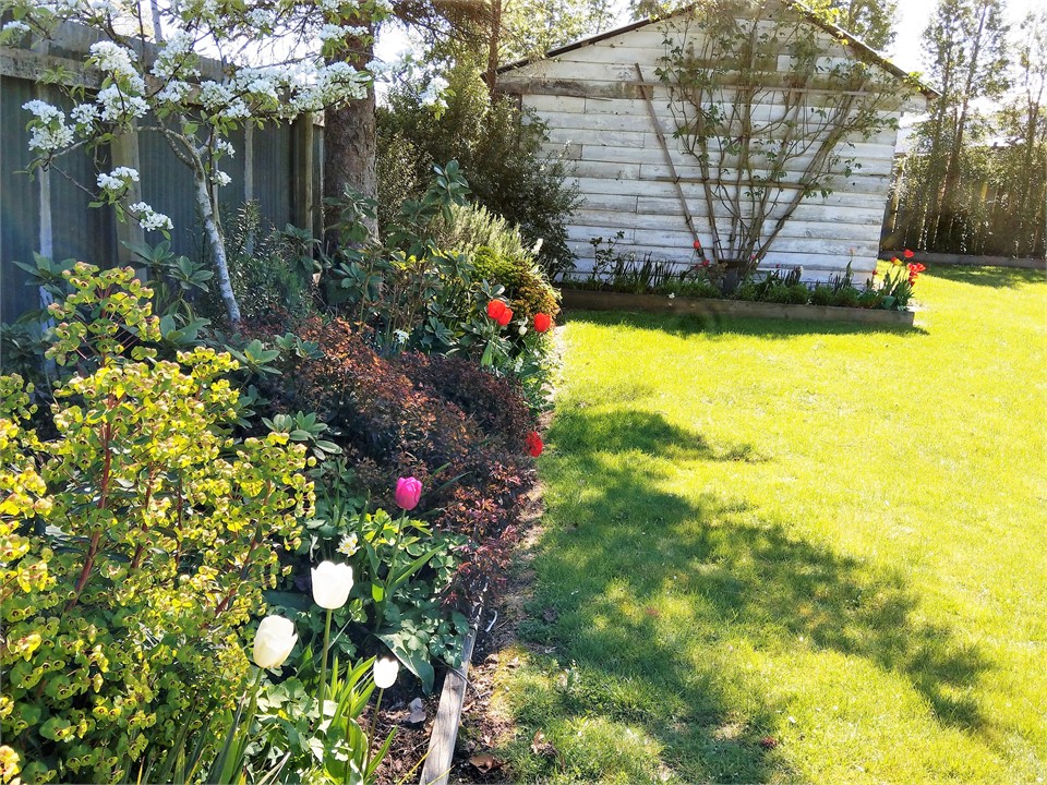 The private back garden with flowering shrubs