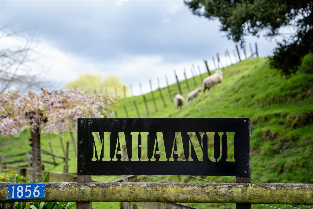 Mahaanui Homestead