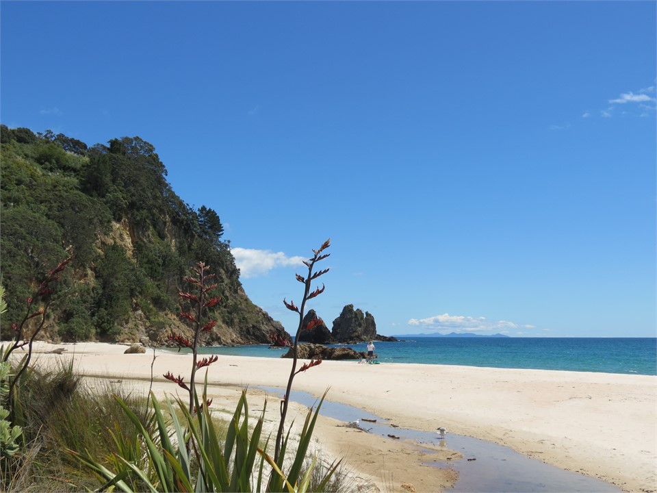 Otama Beach, 10 minutes max from Magnolia Hideaway