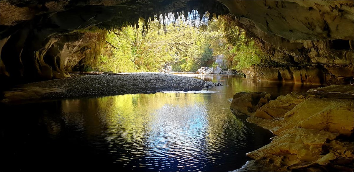 Awe- inspiring Oparara Arches just down the road