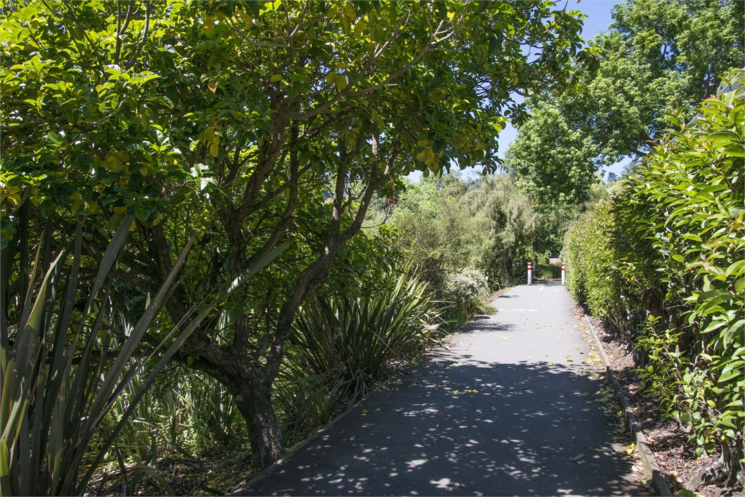 10 mins walkway to Nelson City centre