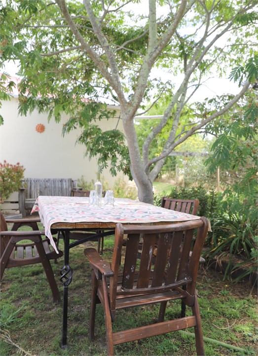 Ko te Kari kei muri. The back garden.