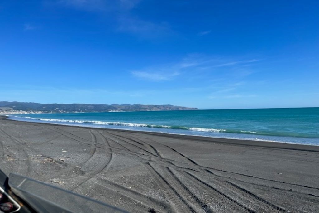 The Beach - (5-10 min walk)