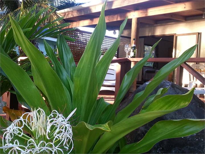 Beach House - Decking Area