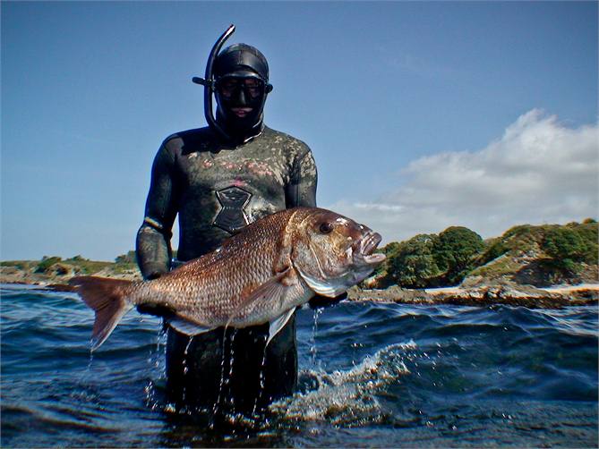 Great spearfishing