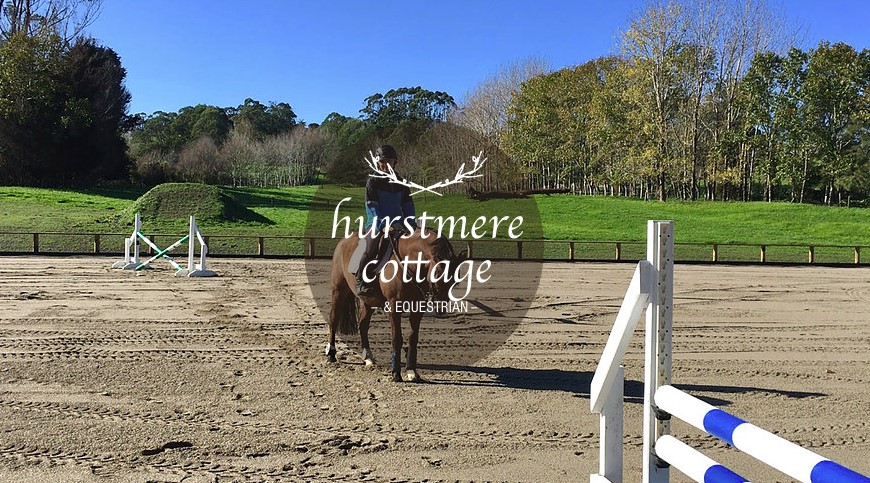 Full showjumping arena available for hire
