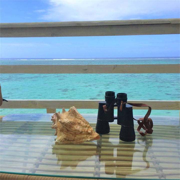 Binoculars and Shell on Outdoor Table with View on
