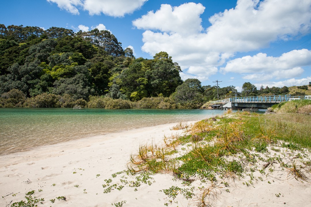 Matapouri Bay a few minutes walk away