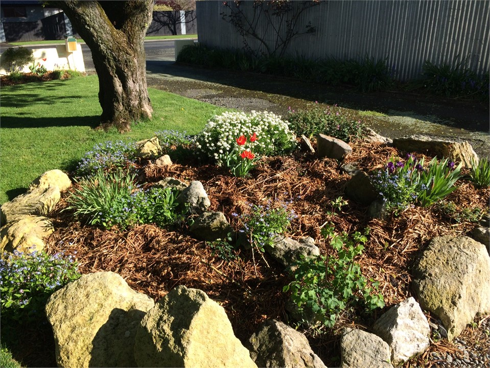 Spring in the garden