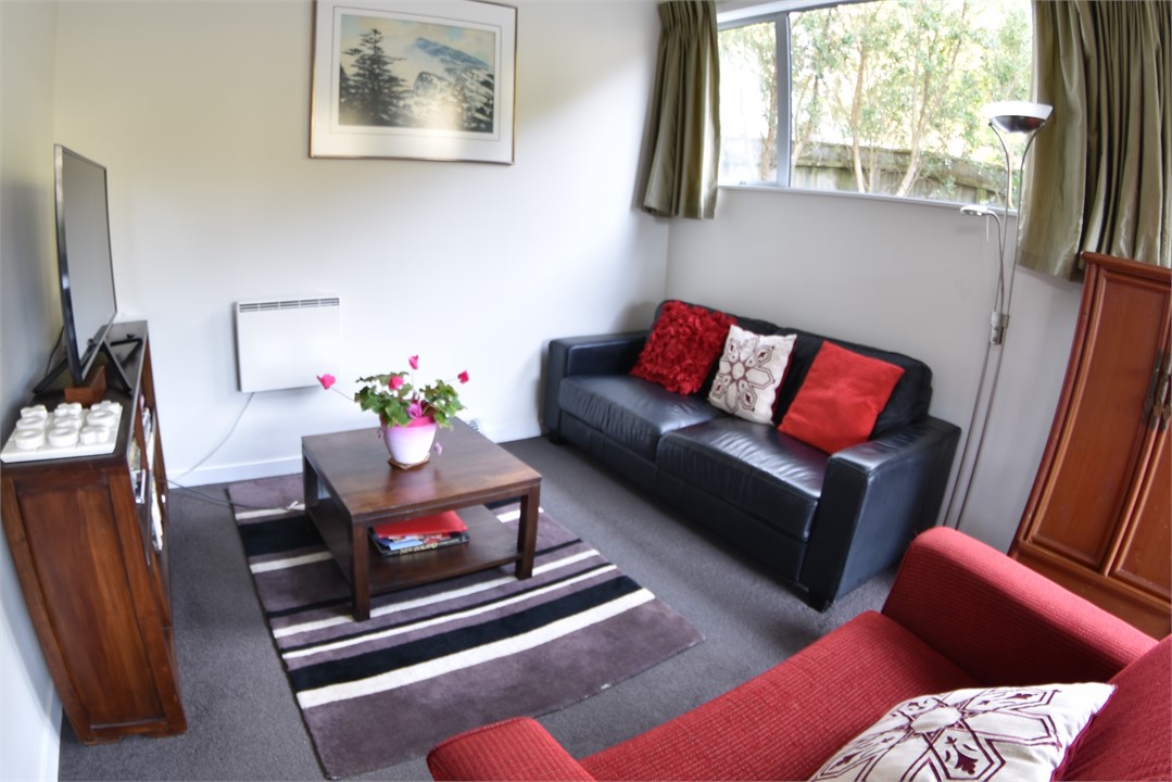 Days Bay Apartment Accommodation: Lounge