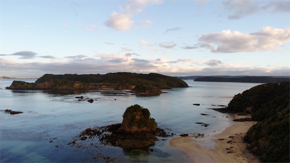 Ringaringa Beach Cottage Stewart Island Holiday Home for rent