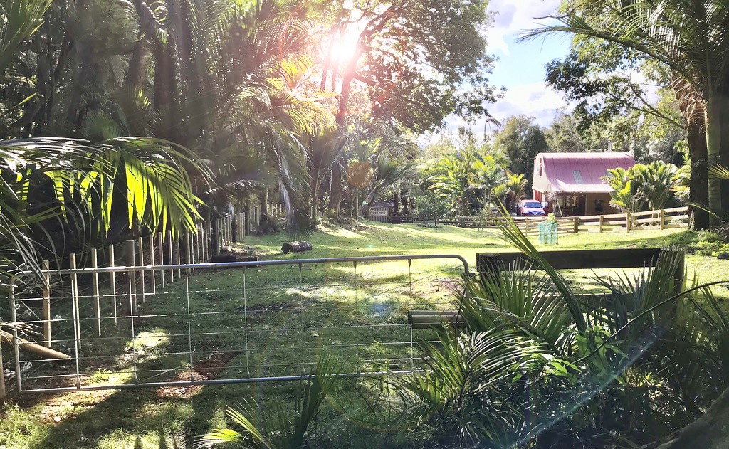 Red Barn Katikati Cottage for rent Holiday Houses