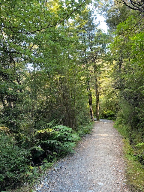 Bellbird Walk at lakeside