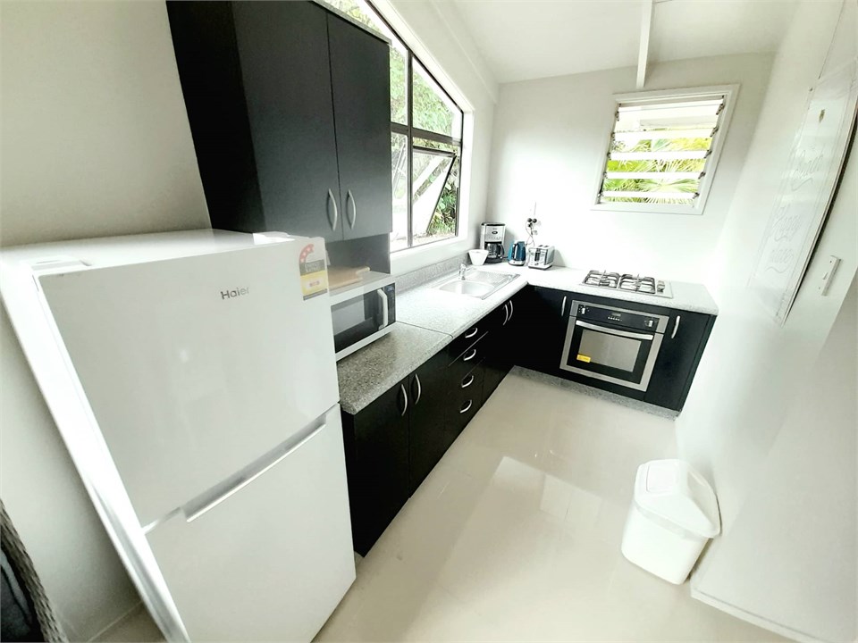 Modern kitchen and appliances