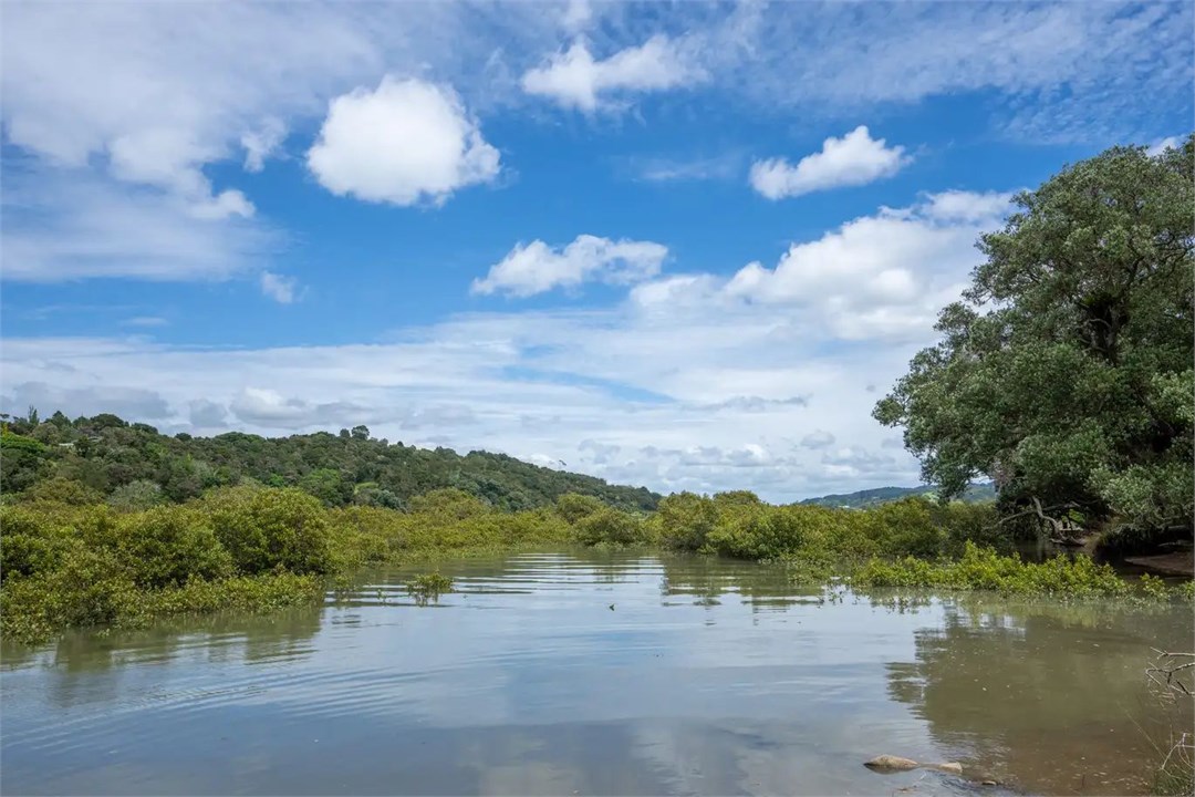 close pic of the water