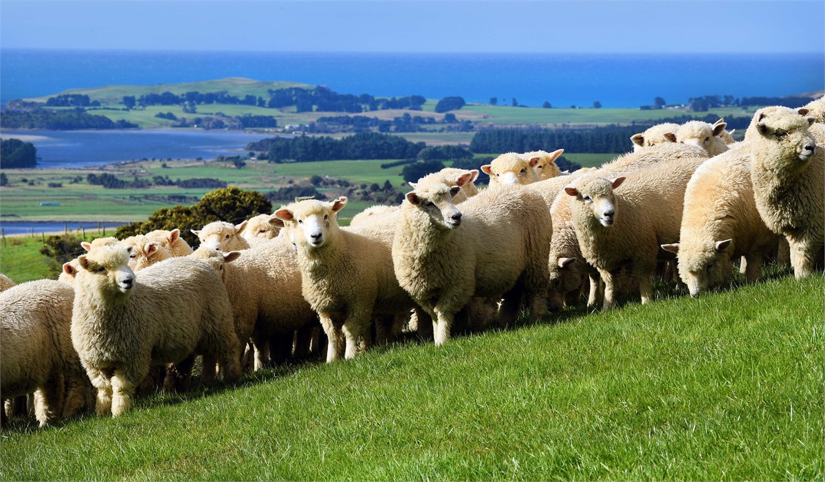 Your friendly neighbours